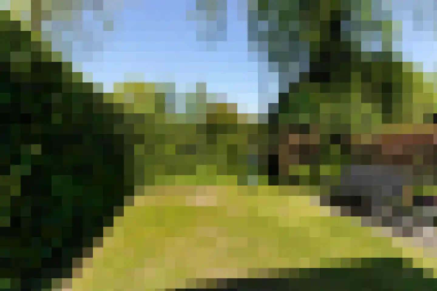 Hobbendonkseweg 20 Boxtel thumbnail 49