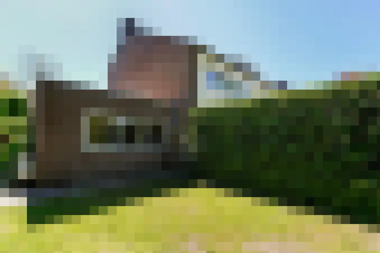 Hobbendonkseweg 20 Boxtel thumbnail 51