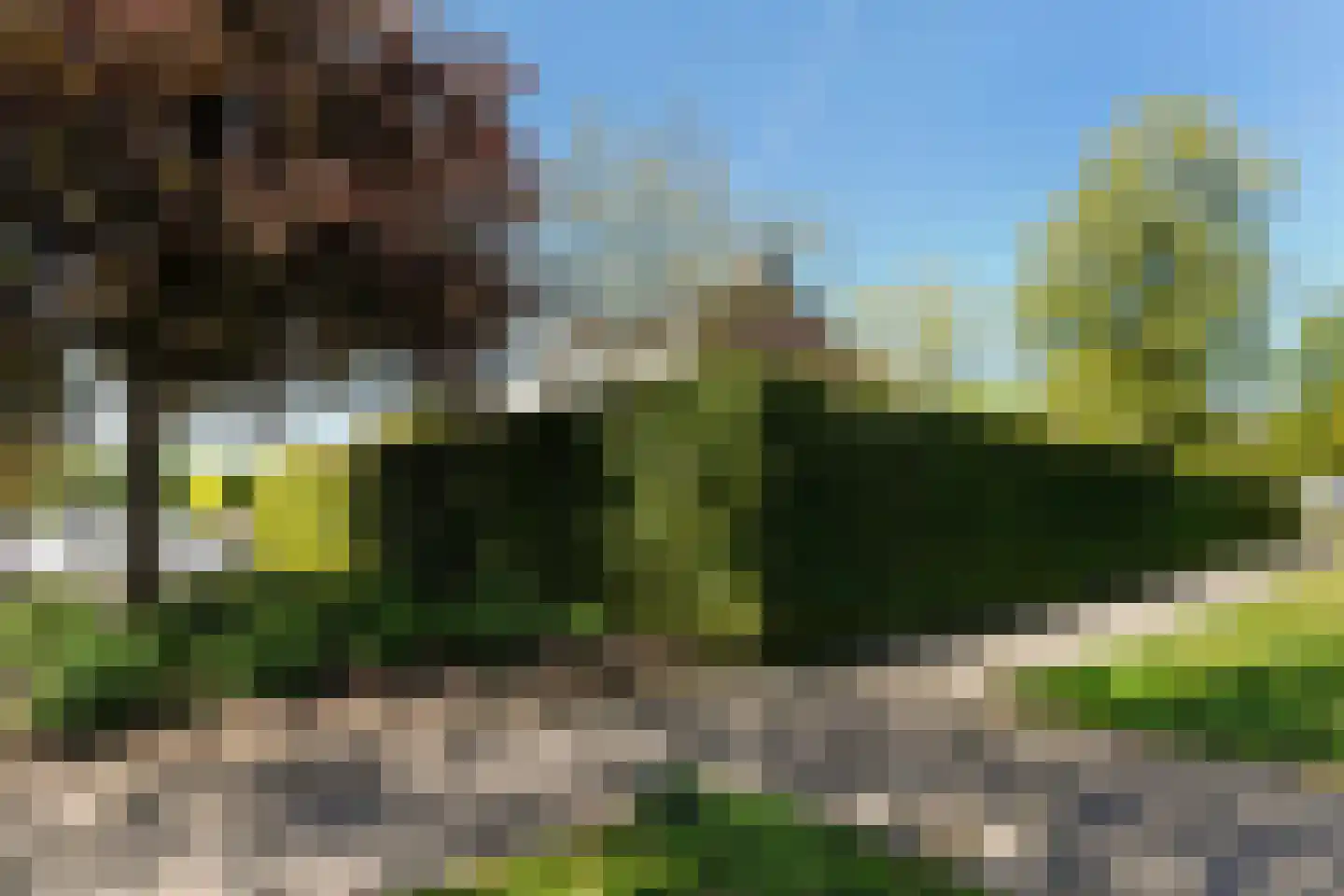 Hobbendonkseweg 20 Boxtel thumbnail 55