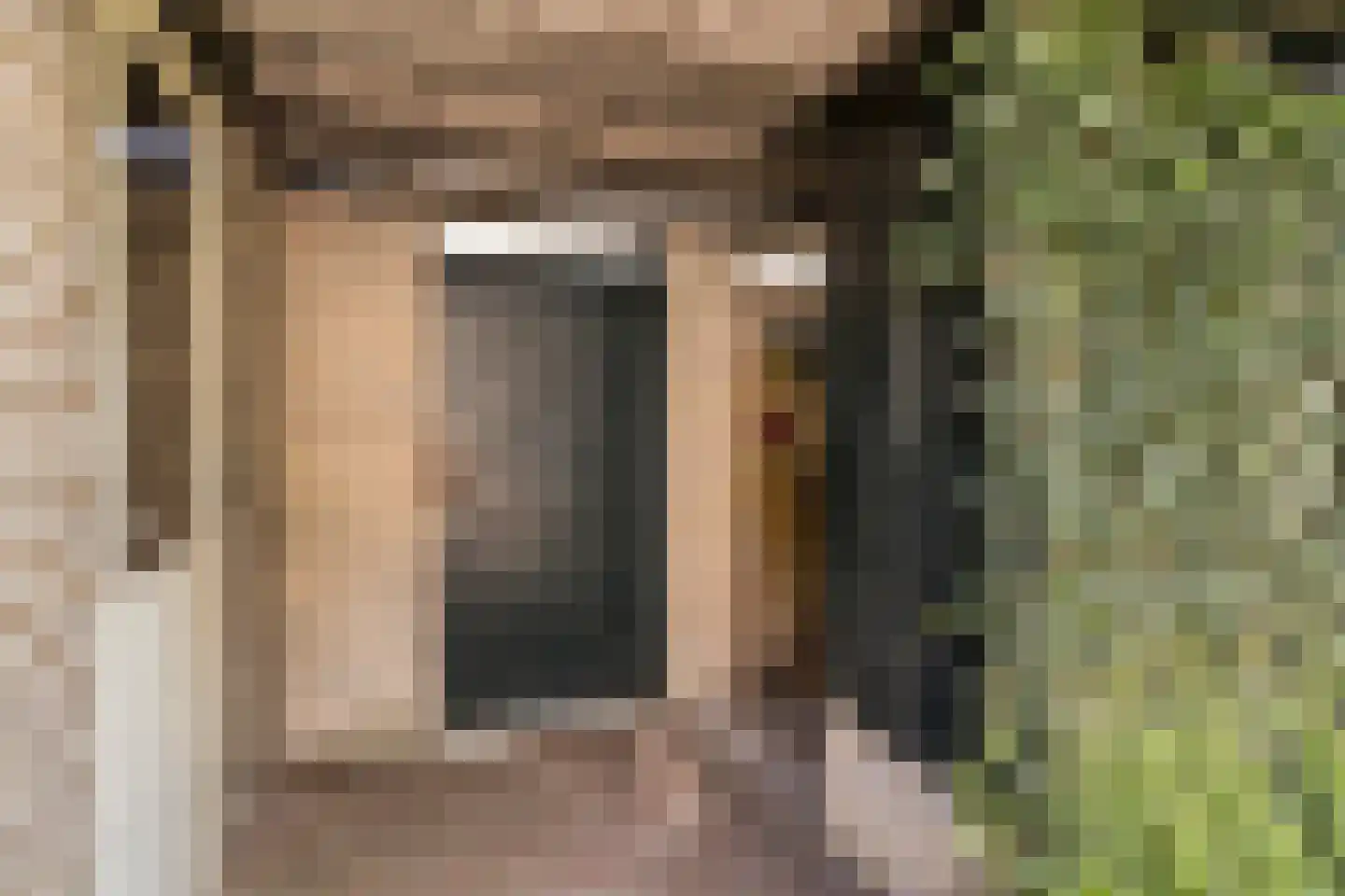 Hobbendonkseweg 22 Boxtel thumbnail 29