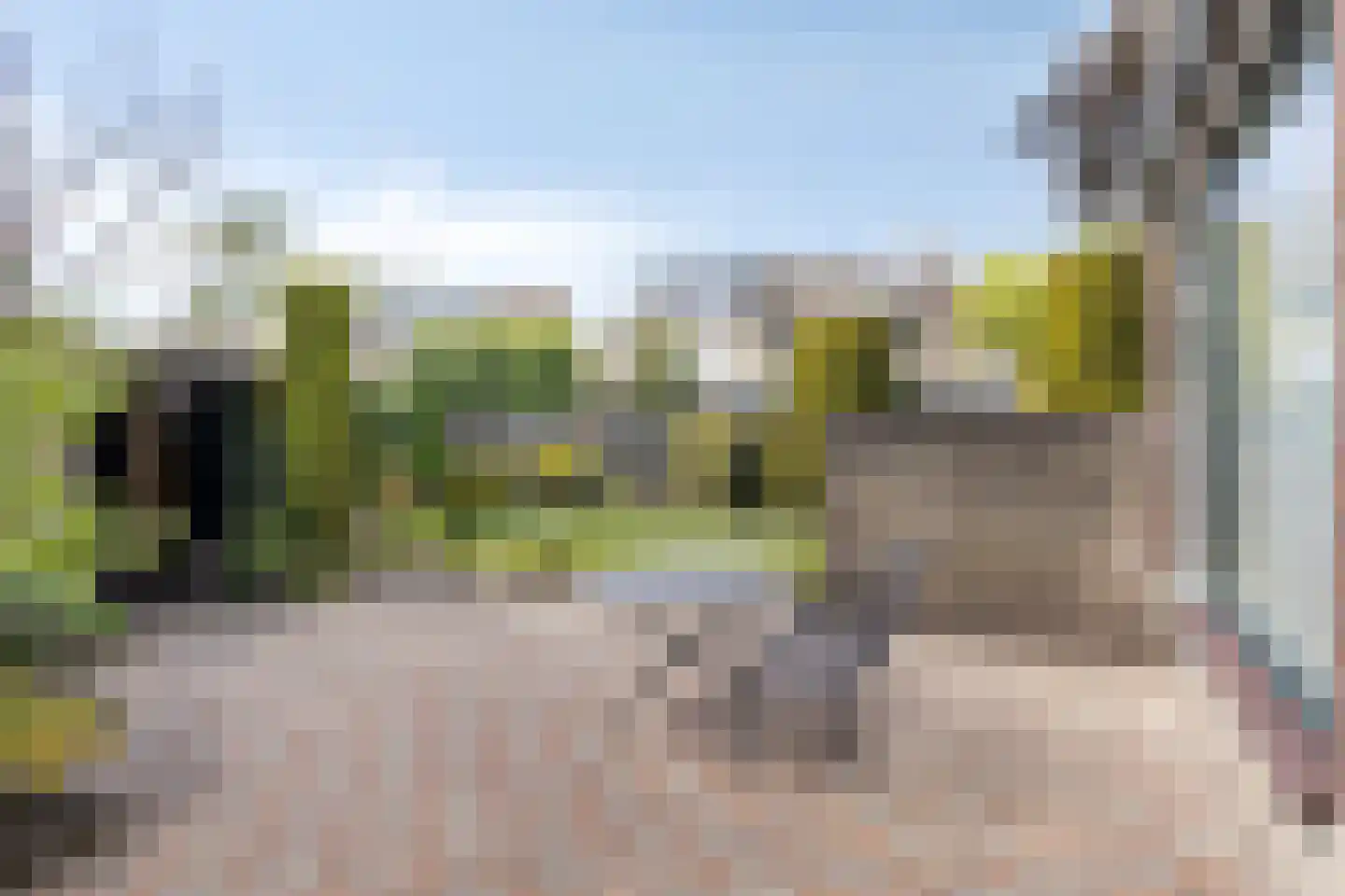 Hobbendonkseweg 22 Boxtel thumbnail 5