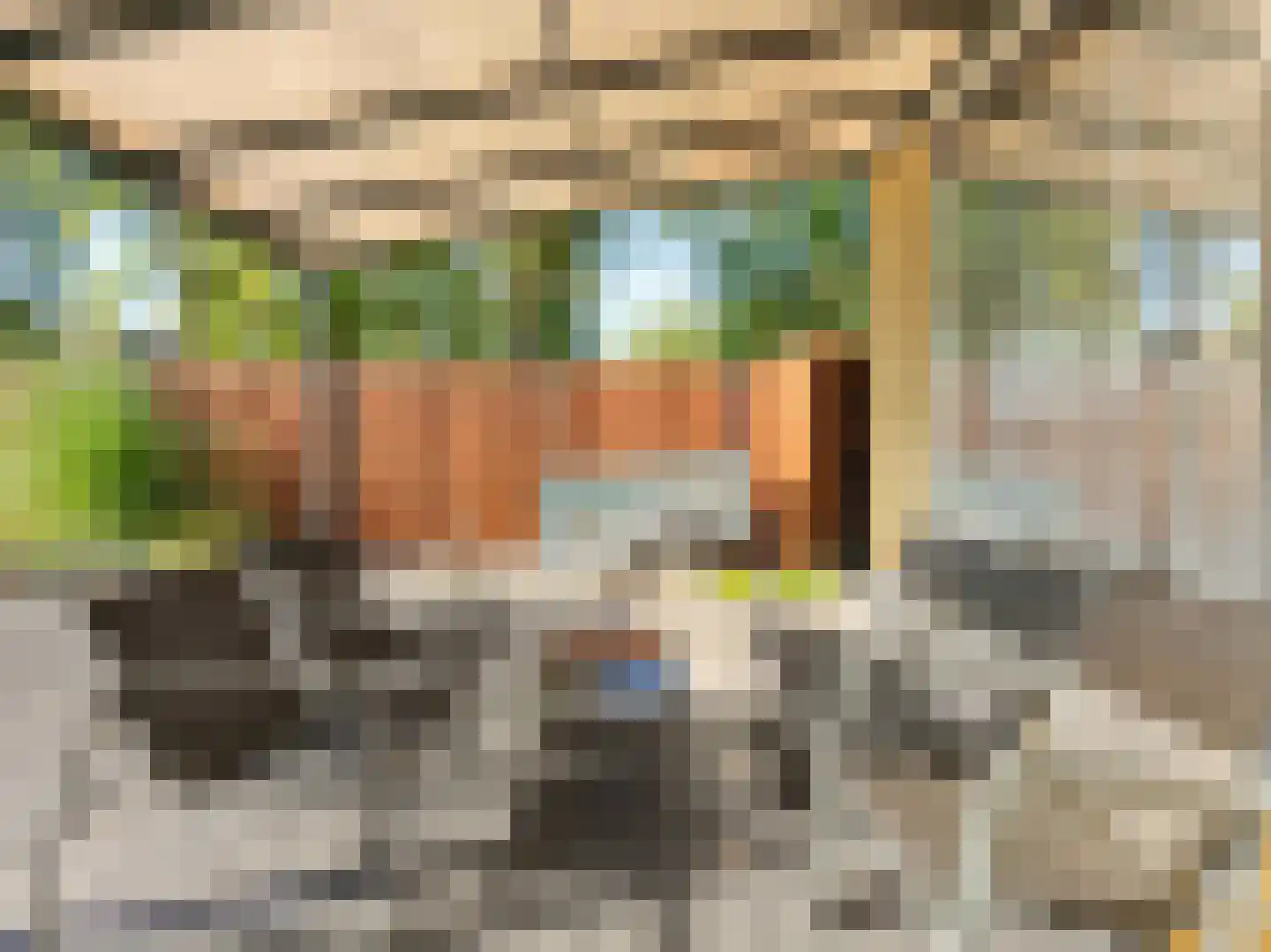 Hobbendonkseweg 60 Boxtel thumbnail 27