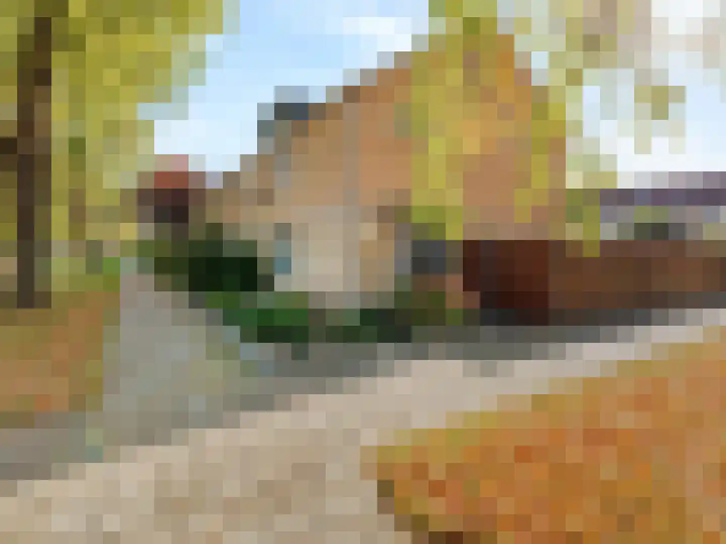 Hobbendonkseweg 60 Boxtel thumbnail 32