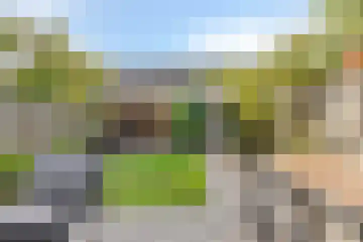 Hobbendonkseweg 62 Boxtel thumbnail 20