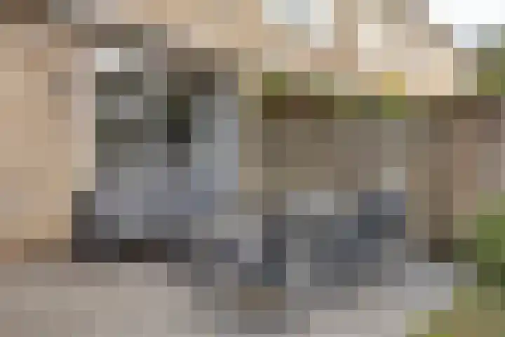 Hobbendonkseweg 62 Boxtel thumbnail 21