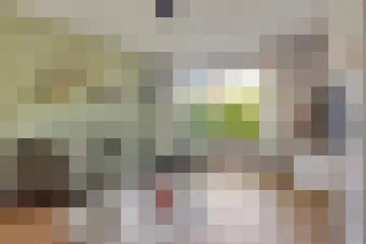 Hobbendonkseweg 62 Boxtel thumbnail 4