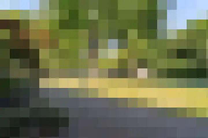 Hobbendonkseweg 90 Boxtel thumbnail 4