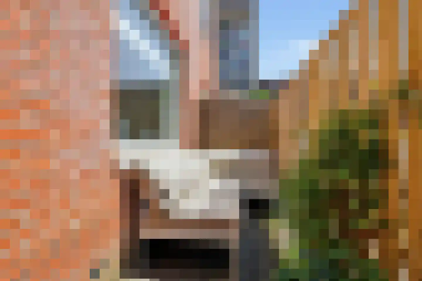 Hobbesteeg 10 A Beverwijk thumbnail 34
