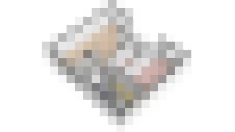 Hobbesteeg 32 Beverwijk thumbnail 37