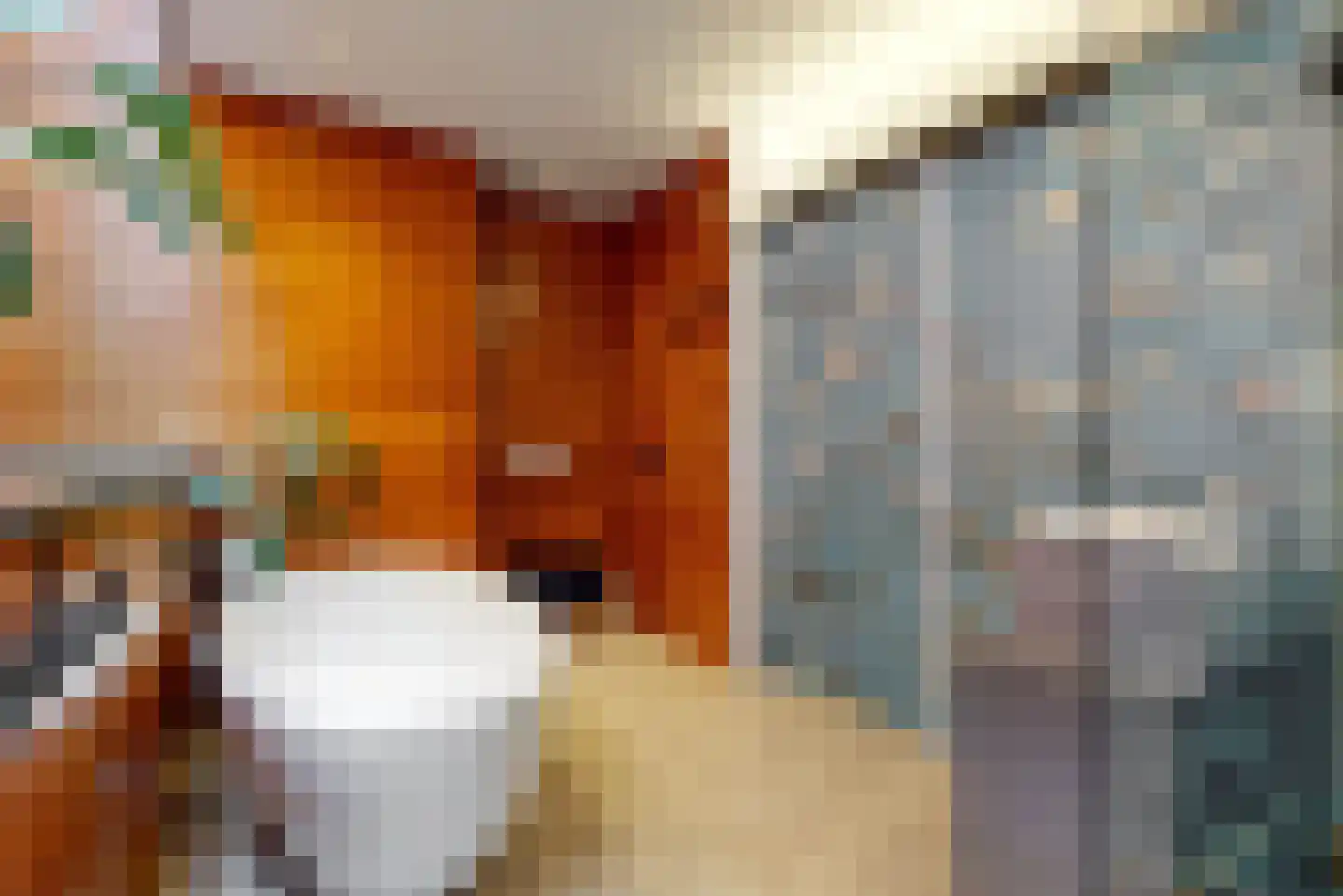 Hobbesteeg 4 Beverwijk thumbnail 18