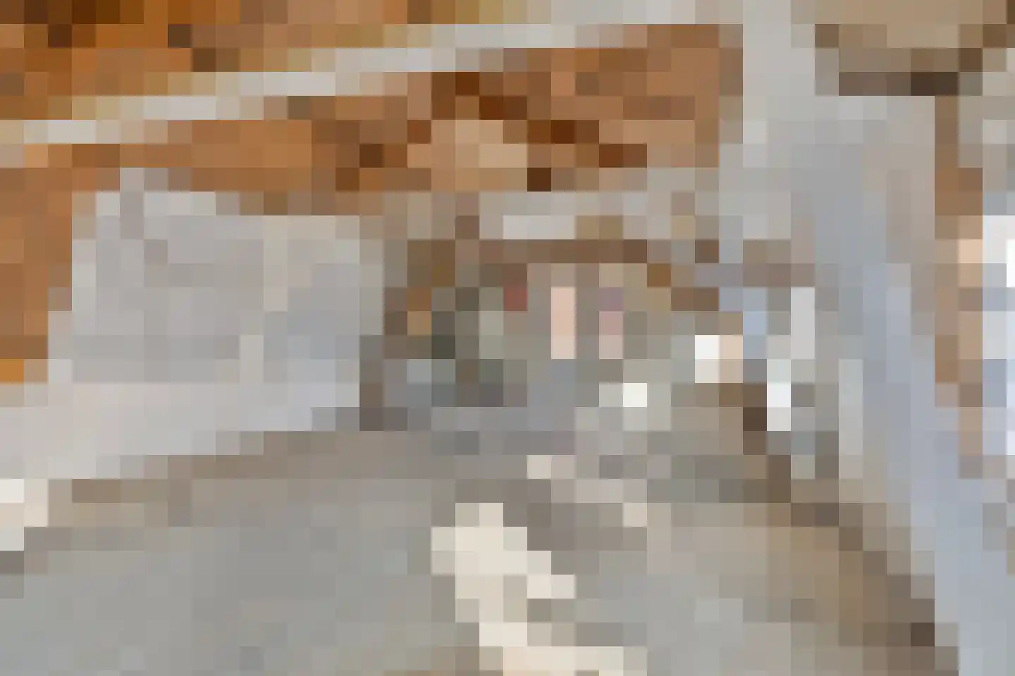 Hobeinstraat 1 Vlissingen thumbnail 18