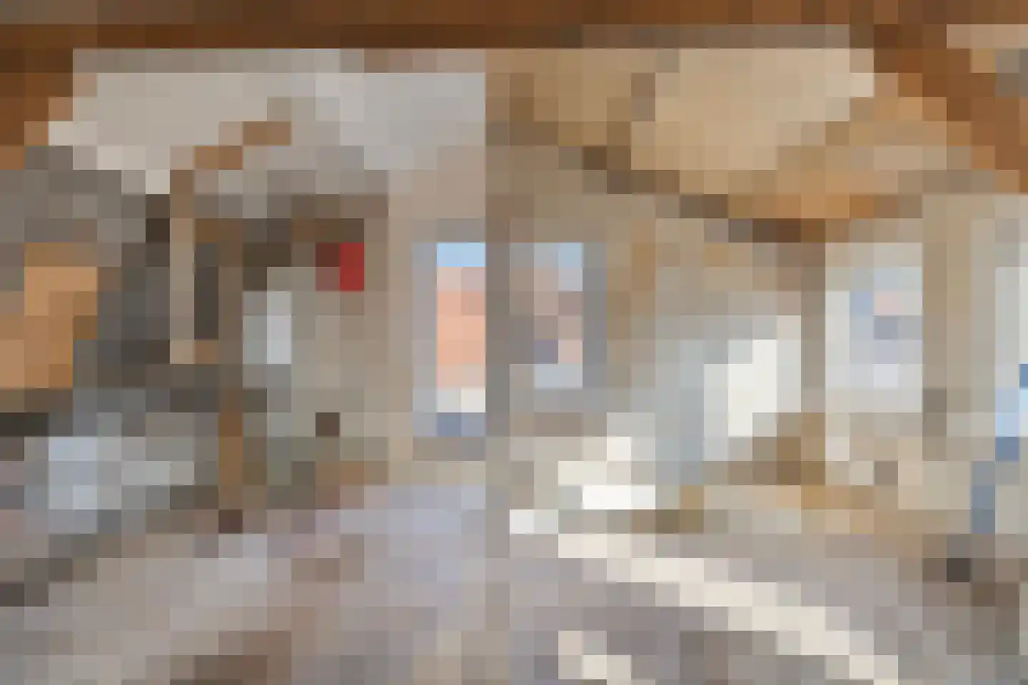 Hobeinstraat 1 Vlissingen thumbnail 20