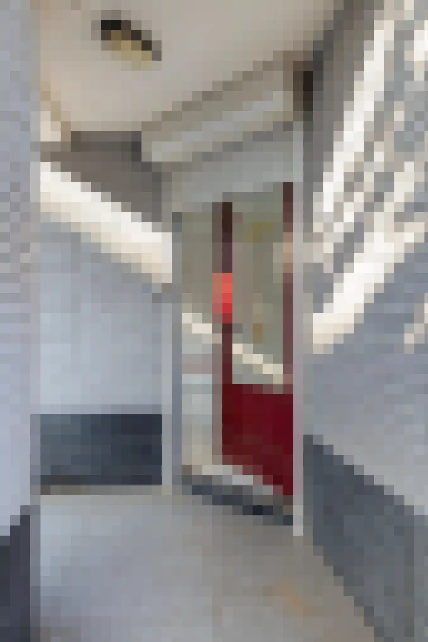 Hobeinstraat 1 Vlissingen thumbnail 4