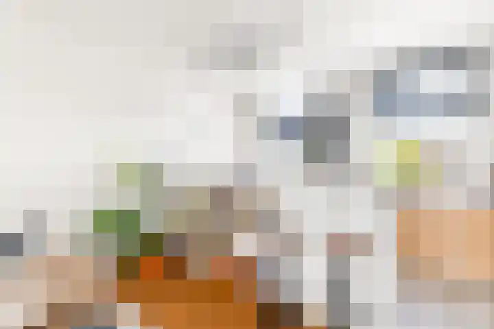 Hobeinstraat 11 Vlissingen thumbnail 10