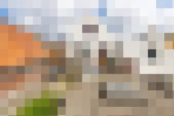 Hobeinstraat 11 Vlissingen thumbnail 17