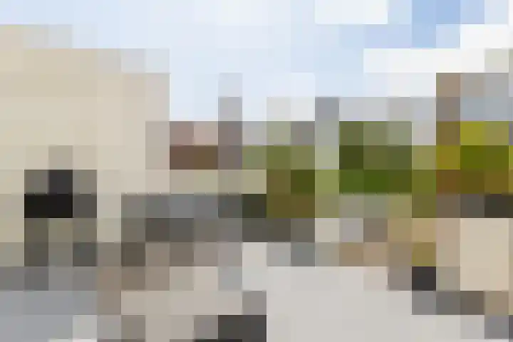 Hobeinstraat 11 Vlissingen thumbnail 19