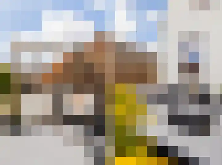 Hobeinstraat 11 Vlissingen thumbnail 20
