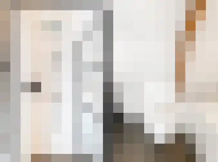 Hobeinstraat 11 Vlissingen thumbnail 30