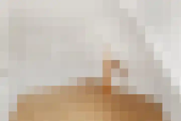 Hobeinstraat 24 Vlissingen thumbnail 23