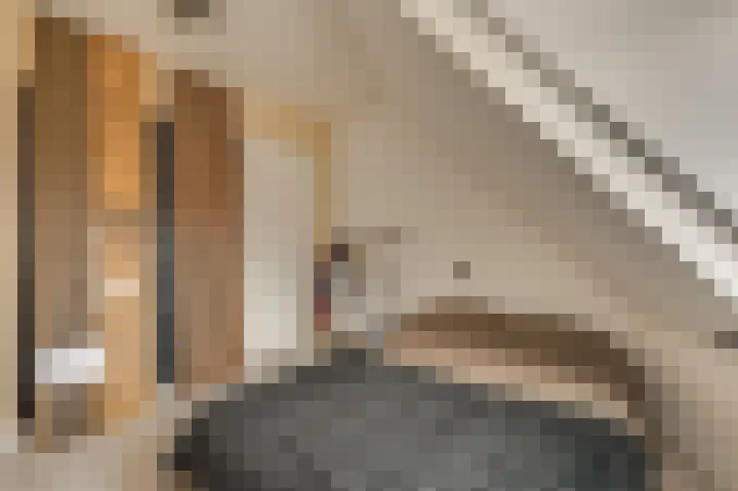 Hobeinstraat 54 Vlissingen thumbnail 30