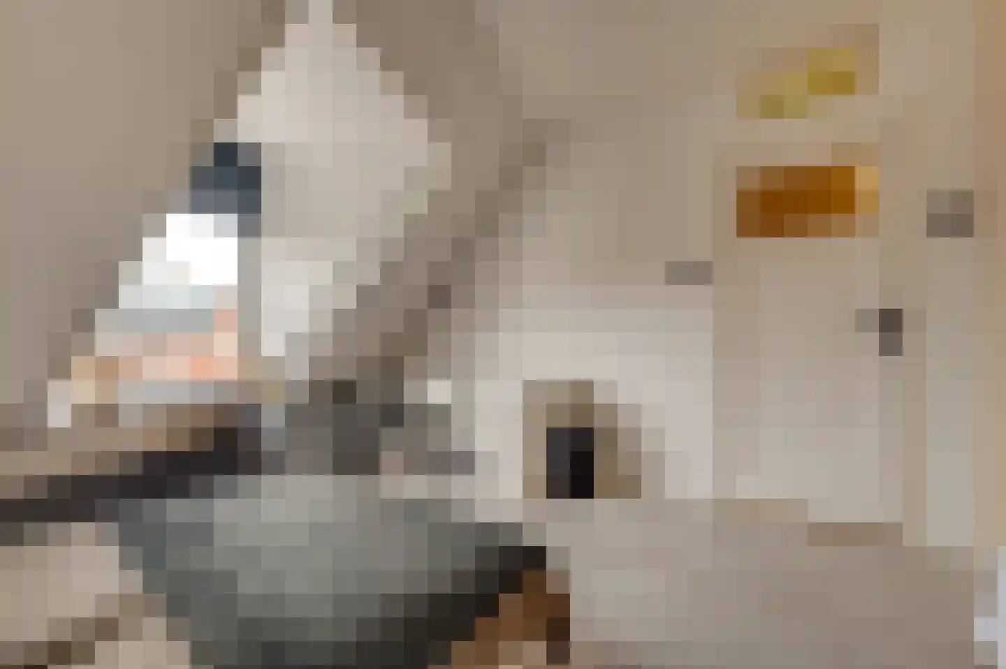 Hobeinstraat 54 Vlissingen thumbnail 31