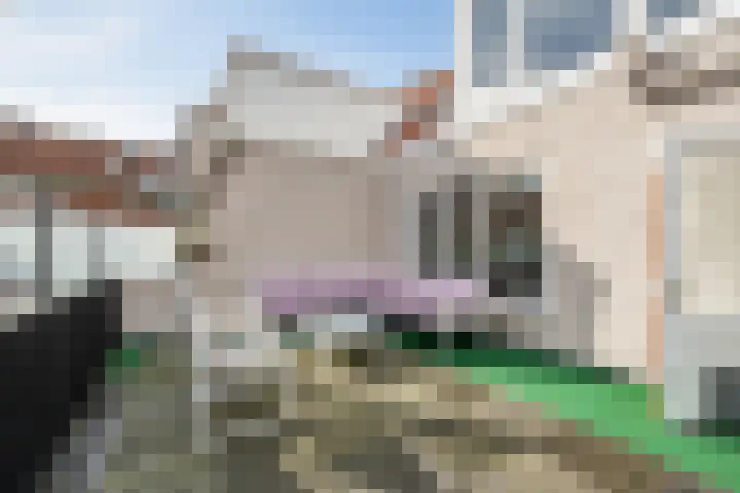 Hobeinstraat 54 Vlissingen thumbnail 32