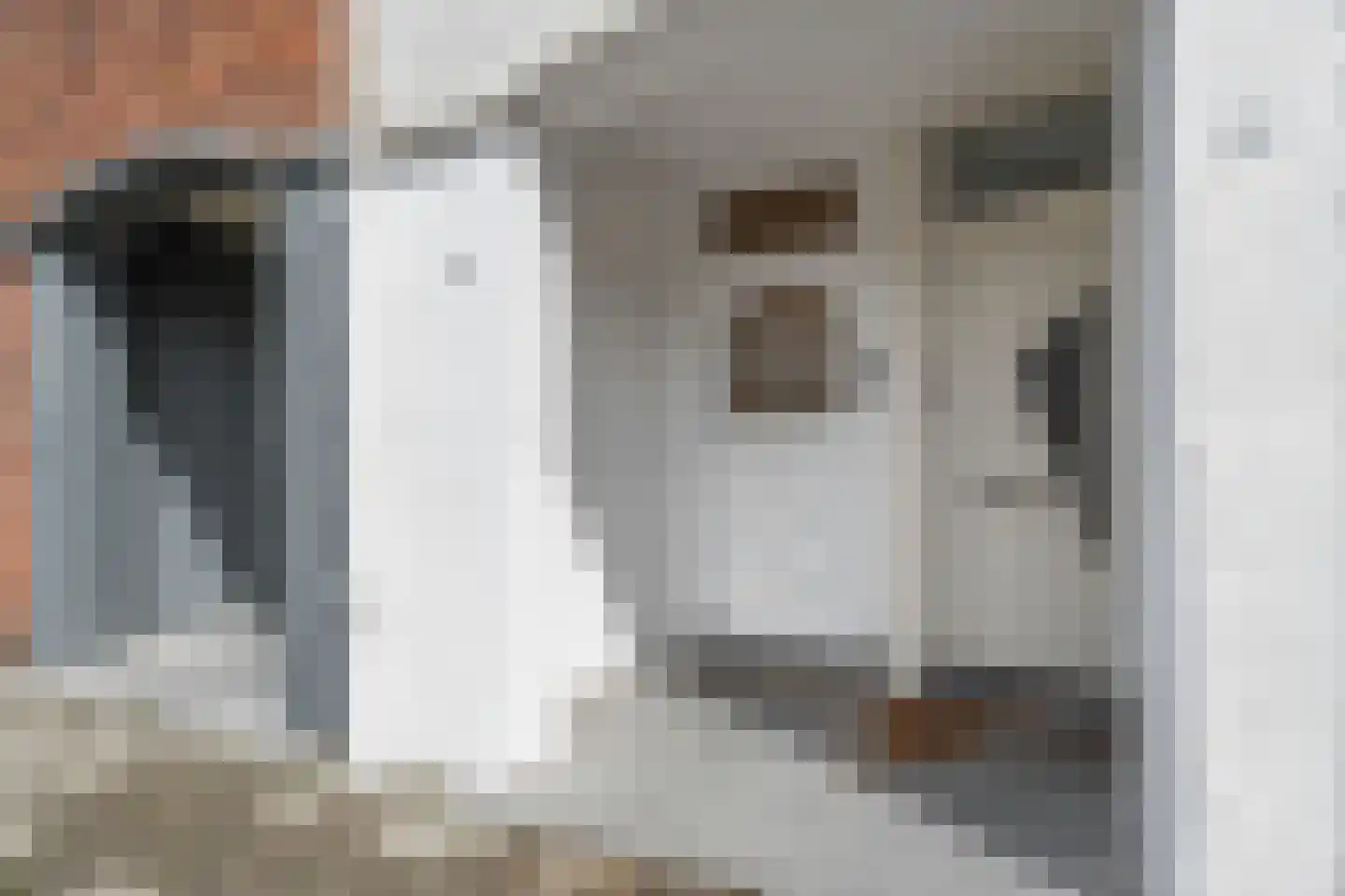Hobeinstraat 54 Vlissingen thumbnail 5