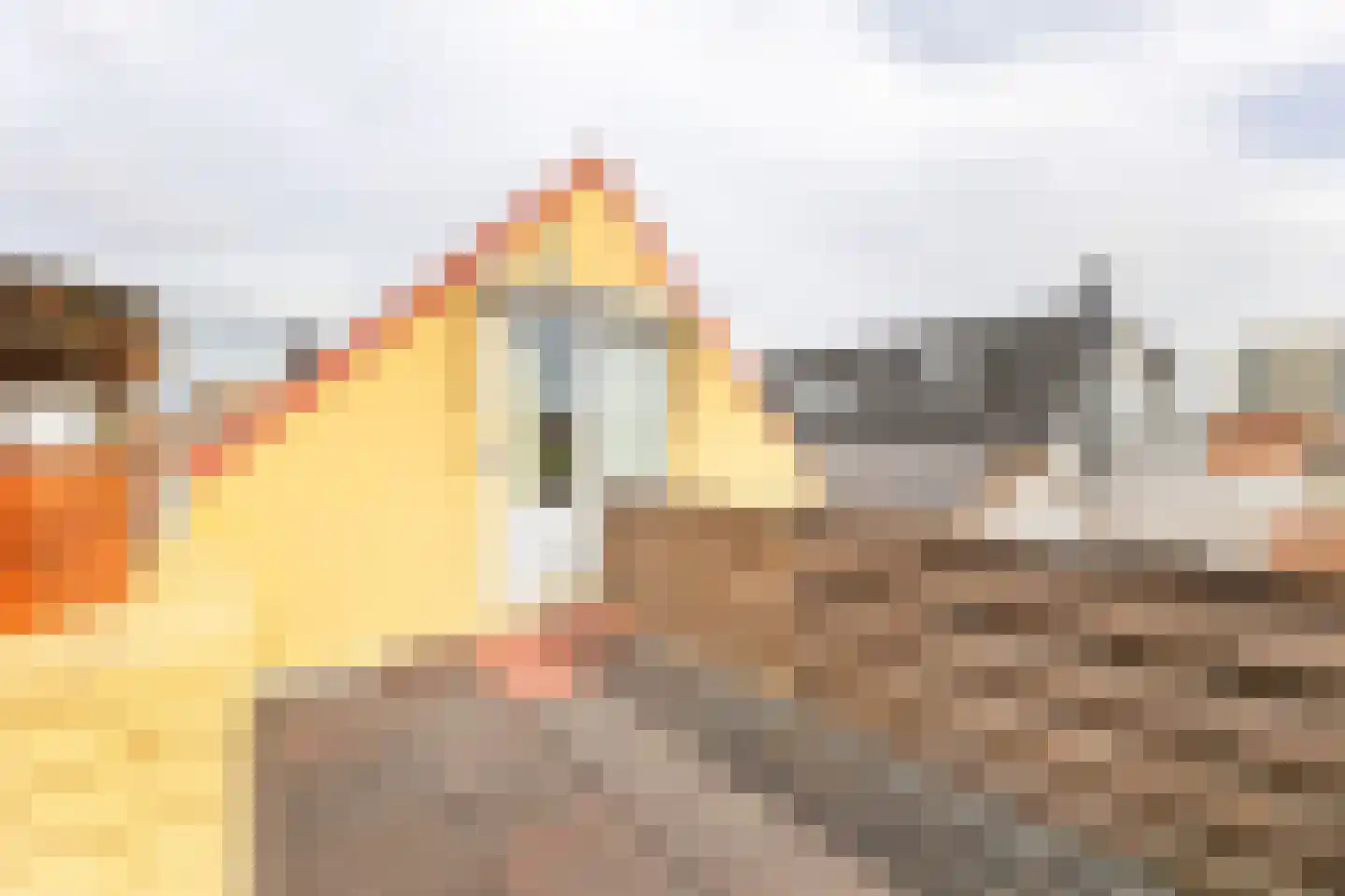 Hobeinstraat 65 Vlissingen thumbnail 33