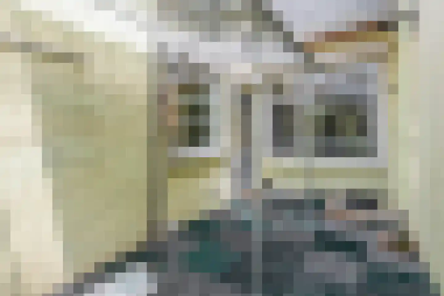Hobeinstraat 75 Vlissingen thumbnail 19