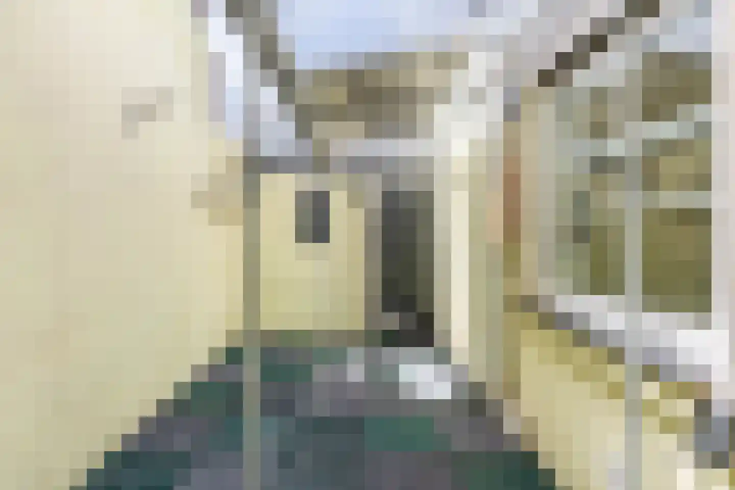 Hobeinstraat 75 Vlissingen thumbnail 20