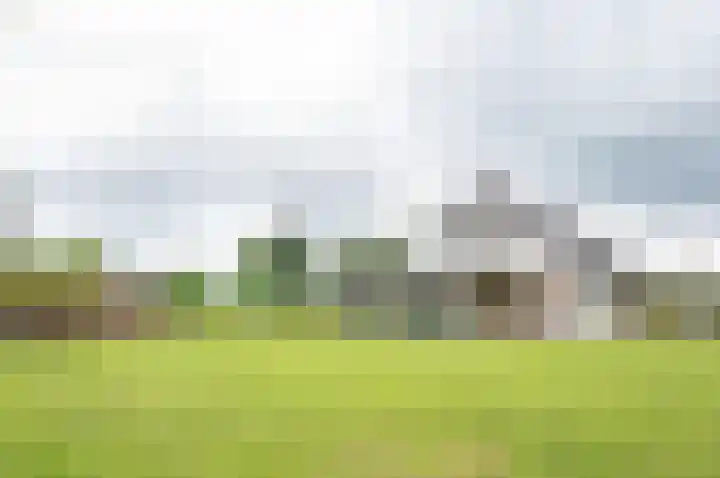 Hobelmansdijk 7 a Halle thumbnail 11