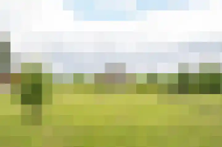 Hobelmansdijk 7 a Halle thumbnail 17