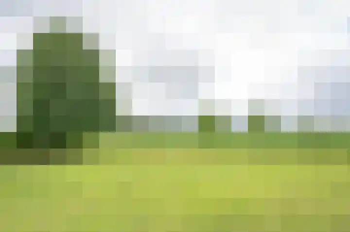 Hobelmansdijk 7 a Halle thumbnail 18
