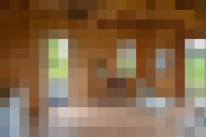 Hobelmansdijk 7 a Halle thumbnail 21