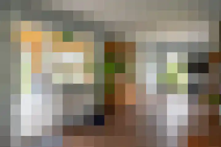 Hobelmansdijk 7 a Halle thumbnail 33