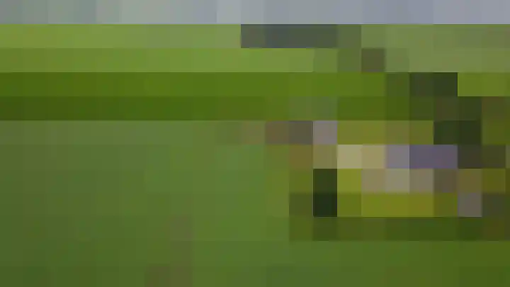 Hobelmansdijk 7 a Halle thumbnail 5