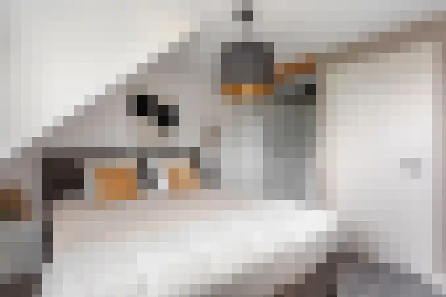 Hobergenstraat 69 Albergen thumbnail 16