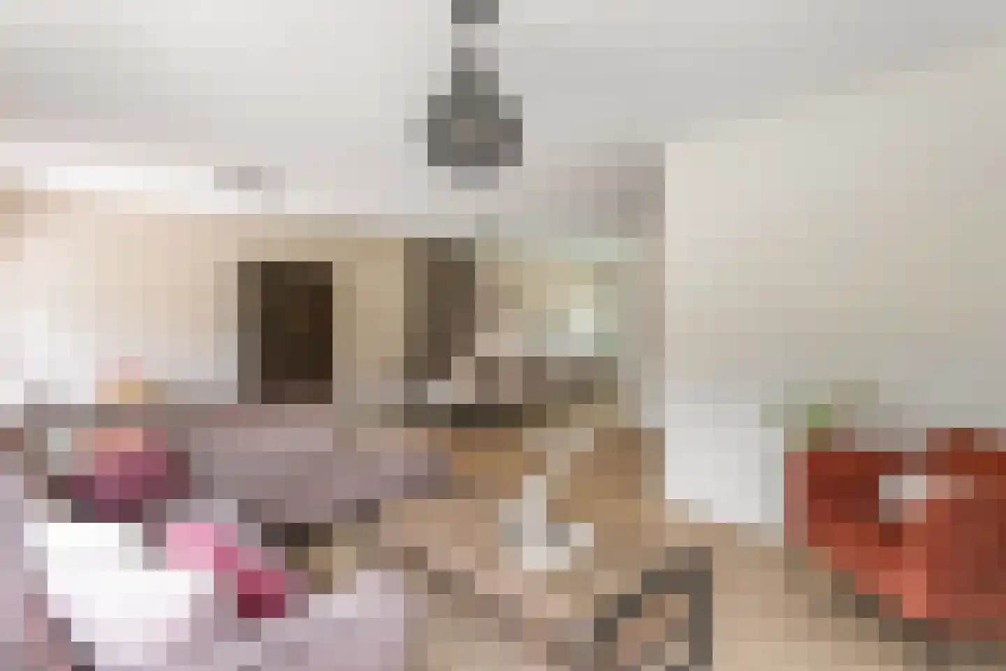 Hobergenstraat 69 Albergen thumbnail 9