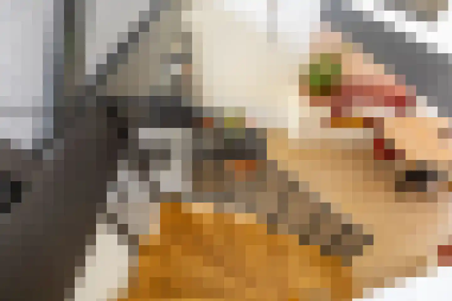 Hobo 10 Zaandam thumbnail 20