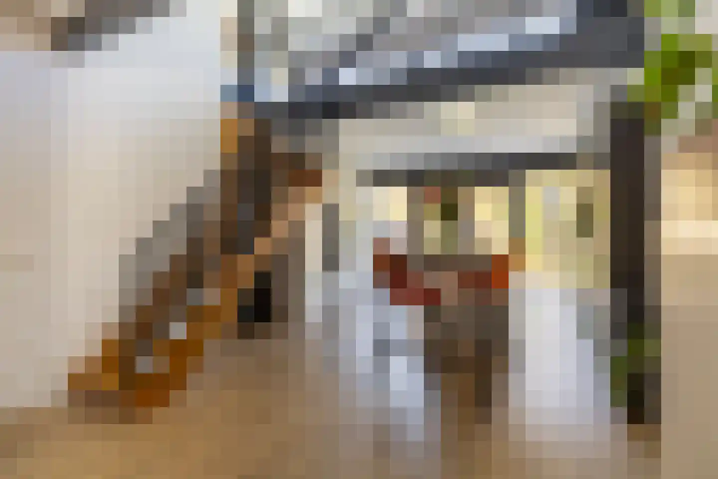 Hobo 10 Zaandam thumbnail 5