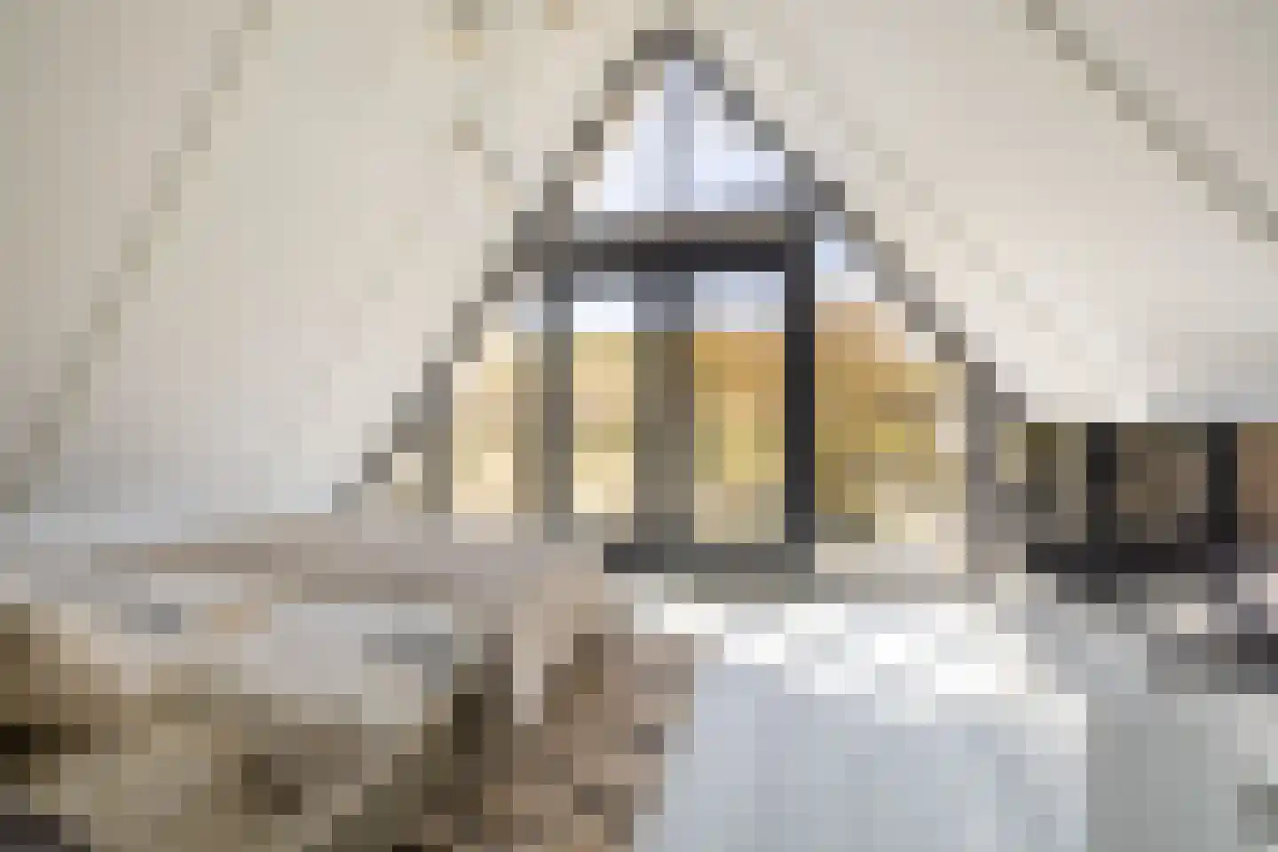 Hobo 10 Zaandam thumbnail 6