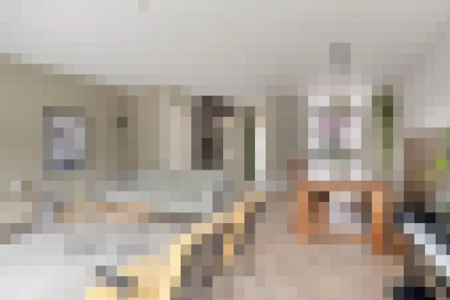 Hobo 22 Rotterdam thumbnail 9