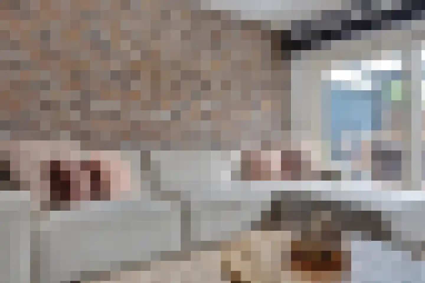 Hobo 8 Rotterdam thumbnail 8
