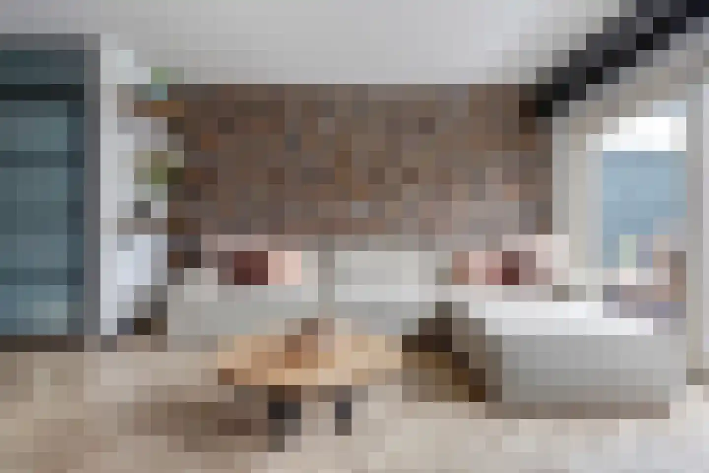 Hobo 8 Rotterdam thumbnail 9