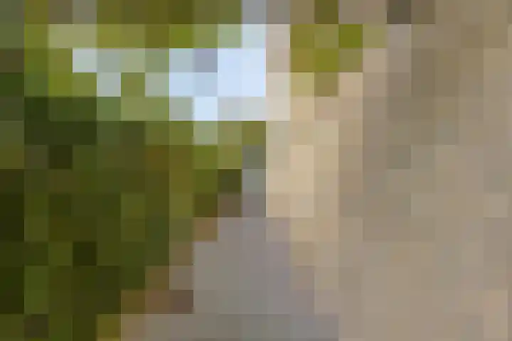 Hobodreef 82 Etten-Leur thumbnail 10