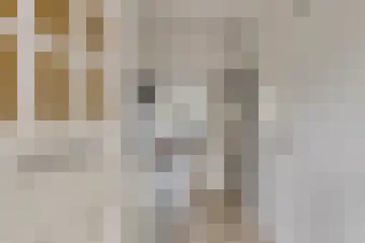 Hobodreef 82 Etten-Leur thumbnail 11