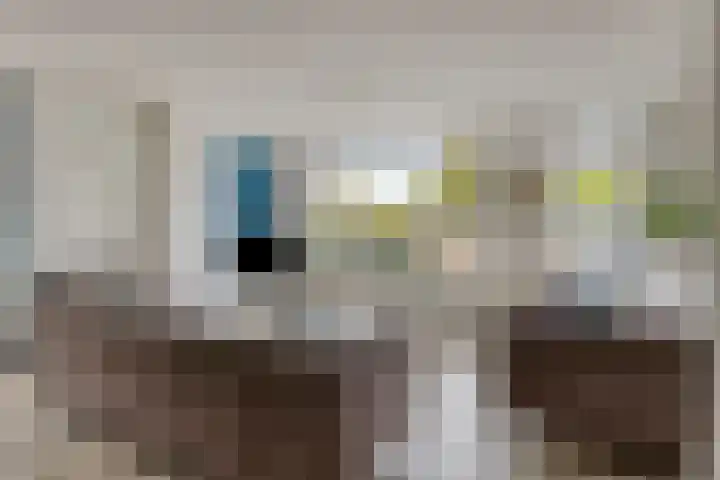 Hobodreef 82 Etten-Leur thumbnail 13