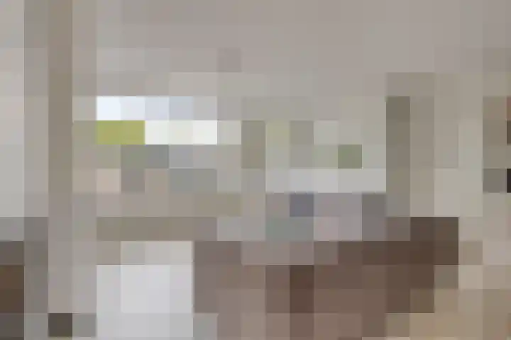 Hobodreef 82 Etten-Leur thumbnail 14
