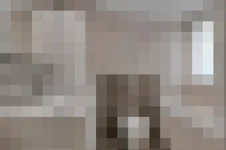 Hobodreef 82 Etten-Leur thumbnail 34