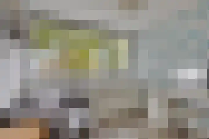 Hobodreef 82 Etten-Leur thumbnail 36